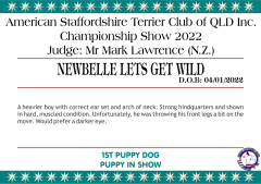 3. NEWBELLE LETS GET WILD.png